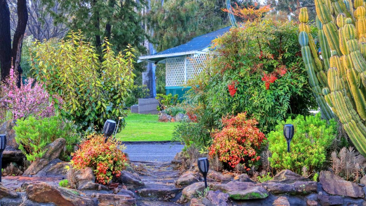 Azalea Motel Coonabarabran Exterior photo