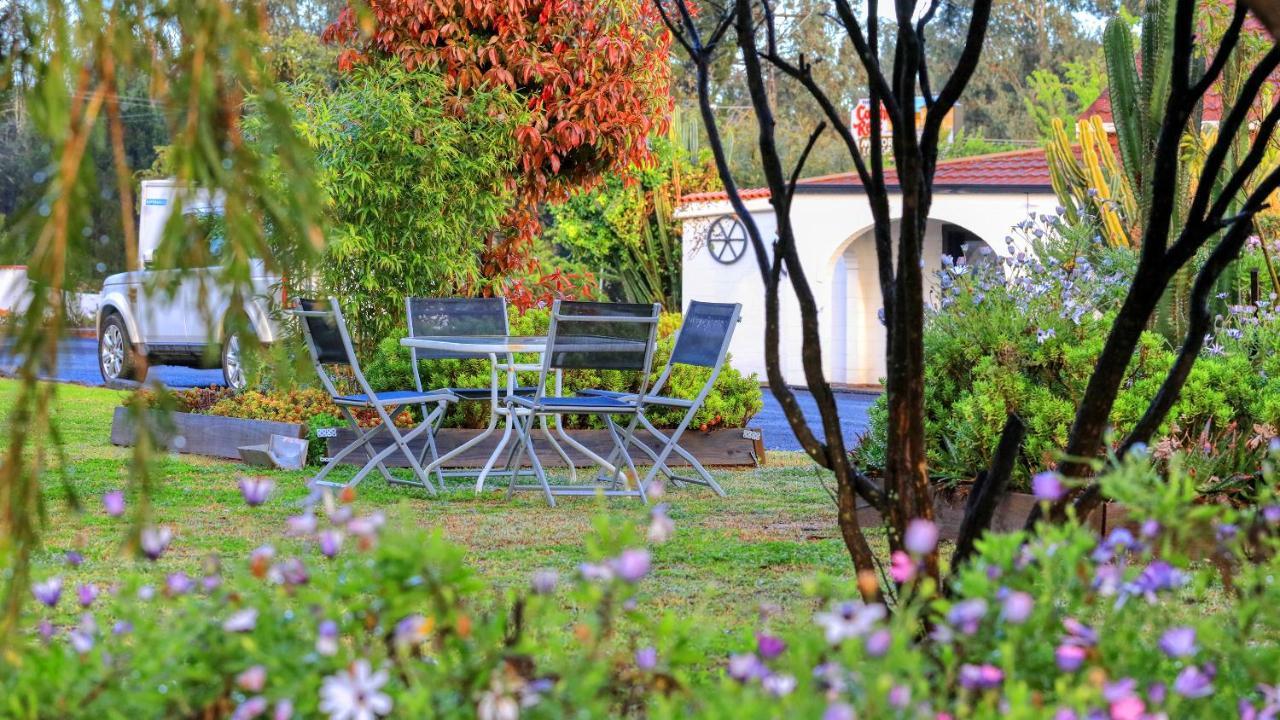 Azalea Motel Coonabarabran Exterior photo