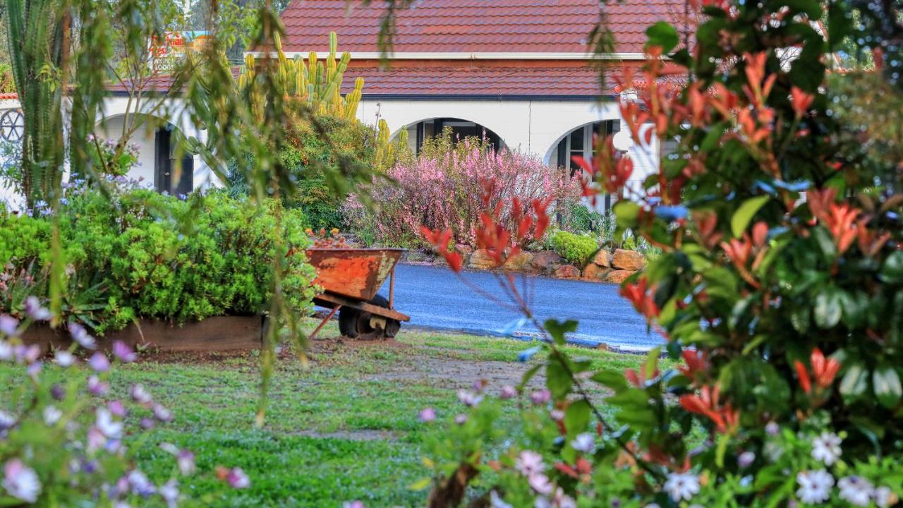 Azalea Motel Coonabarabran Exterior photo