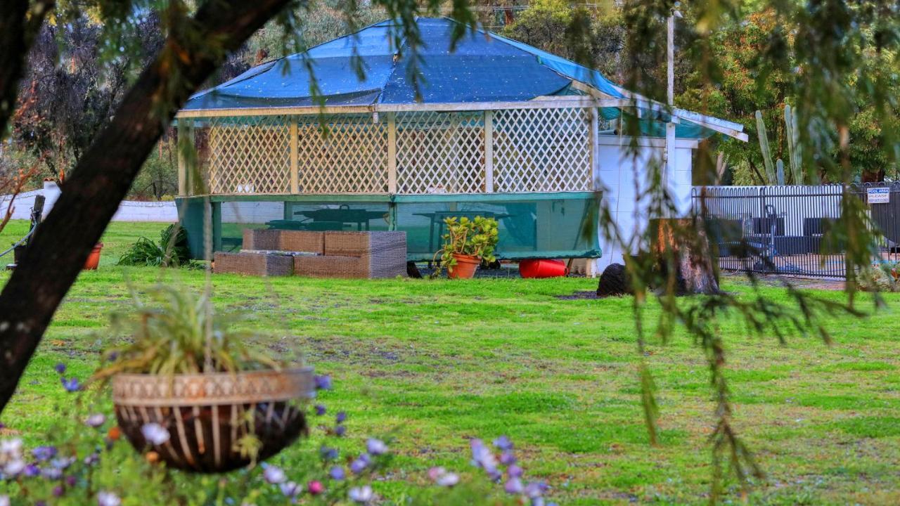 Azalea Motel Coonabarabran Exterior photo