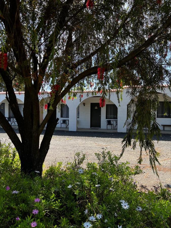 Azalea Motel Coonabarabran Exterior photo