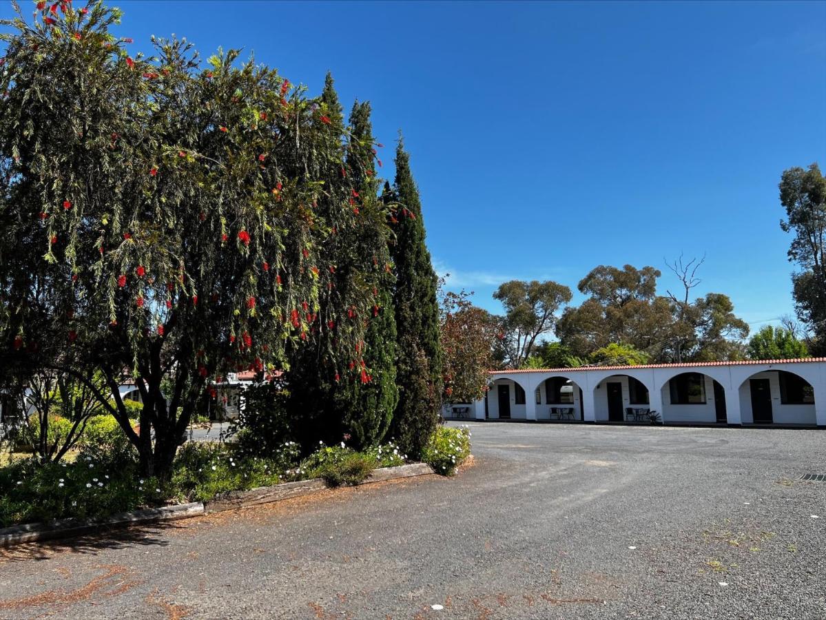 Azalea Motel Coonabarabran Exterior photo