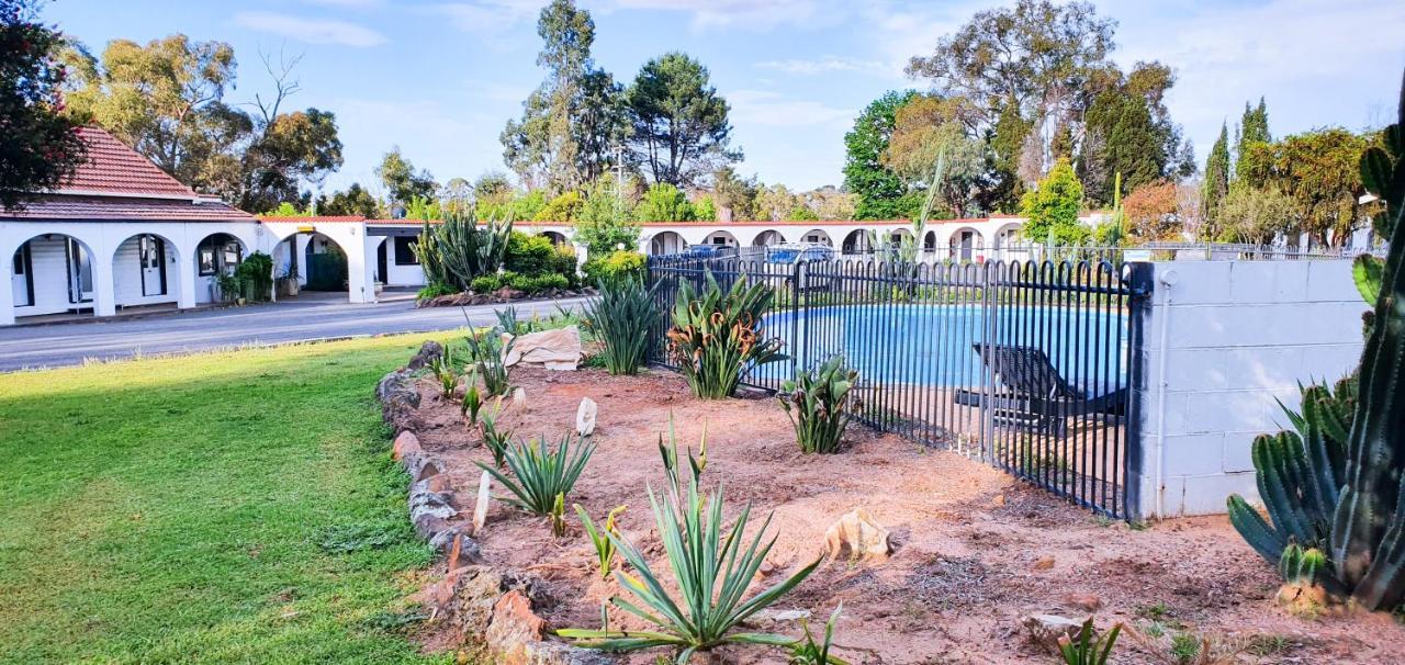 Azalea Motel Coonabarabran Exterior photo