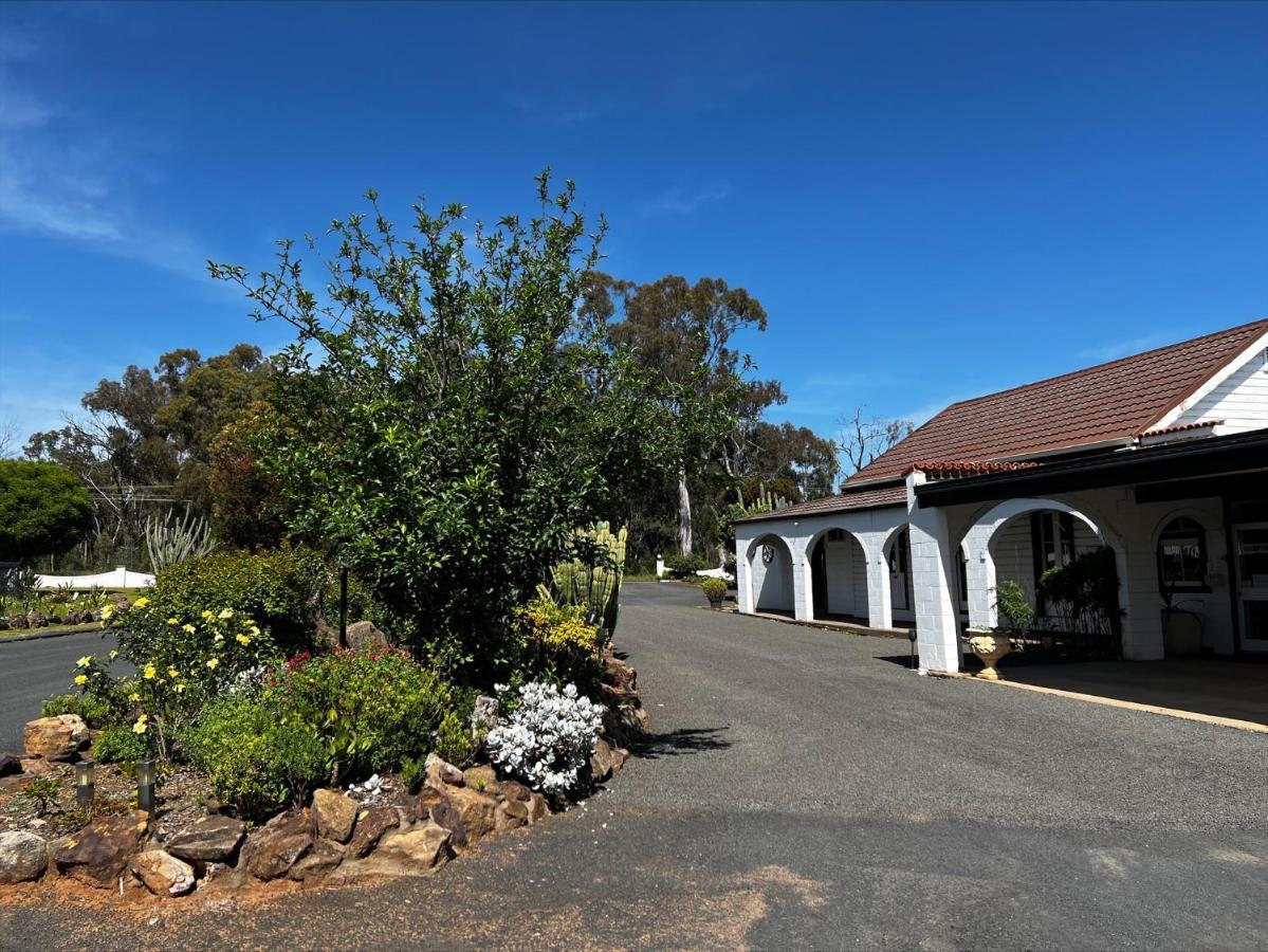 Azalea Motel Coonabarabran Exterior photo