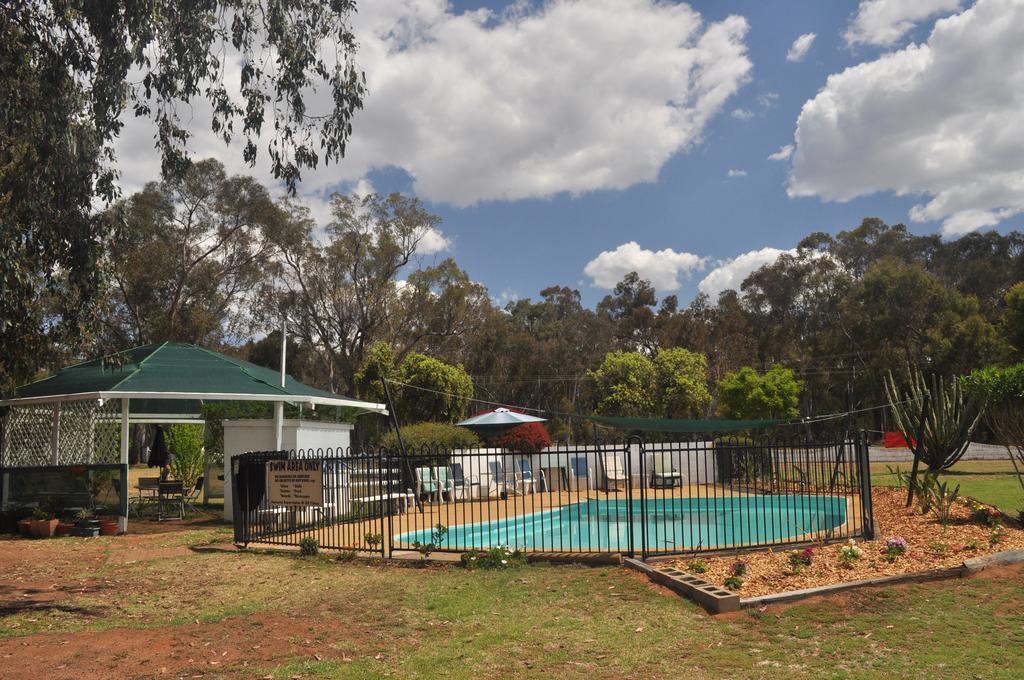 Azalea Motel Coonabarabran Exterior photo