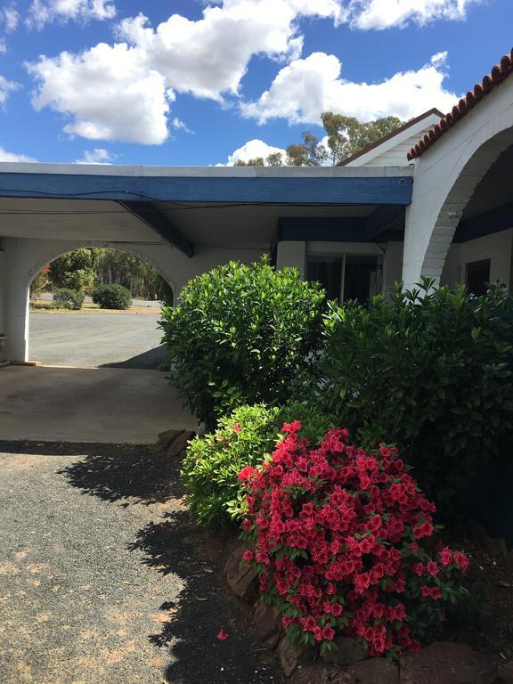 Azalea Motel Coonabarabran Exterior photo